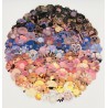 Bloom (LP)