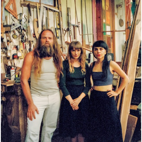 The Subversive Nature Of Kindness (LP)