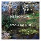 Small World (LP) Clear